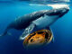 Las ballenas ganan $ 65,824 por día minando Dogecoin con Etransaction