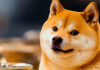 ¿Puede Dogecoin ir a $ 0.13 con el conflicto de almizcle contra Trump? Respuestas de análisis