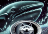 SHIBA INU – ¿Podría un movimiento de 70 millones de dólares por parte de ballenas impulsar un despegue? Los datos indican…