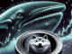 SHIBA INU – ¿Podría un movimiento de 70 millones de dólares por parte de ballenas impulsar un despegue? Los datos indican…