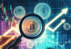 Cómo seguir las carteras de ‘Smart Money’ y descubrir la próxima gran tendencia en criptomonedas.