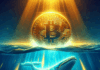Nueva ballena de Bitcoin emerge tras una compra de $163 millones: razones por las que $Hyper podría ser el próximo gran triunfador.