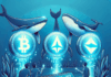 Tres altcoins recomendadas por ballenas para adquirir antes de octubre.