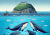¿Por qué el mercado está en baja hoy? Las ballenas de Solana y Shiba Inu aumentan su inversión mientras los inversores se enfocan en proyectos como Pepeto