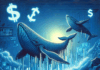 Las ballenas adquieren $307 mil en $HYPER en minutos mientras la preventa se aproxima a $27 millones. ¿Será esta la próxima criptomoneda que despegará?