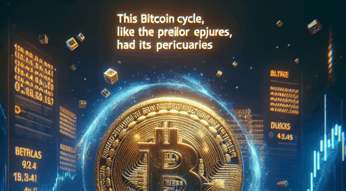 Este ciclo de Bitcoin, al igual que los anteriores, tuvo sus particularidades.