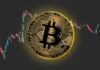 ¿Por qué Bitcoin colapsa cada pocos años? Los expertos explican las causas reales