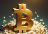La ilusión de la «falta de papel» en Bitcoin