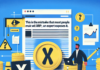 Este es el fallo que la mayoría de las personas comete con XRP; un experto lo expone.