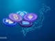 La adopción de Stablecoin aumenta a medida que la mayoría de los usuarios planean aumentar sus tenencias