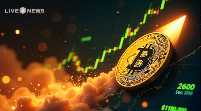 El cofundador de Wikipedia predice que el precio de Bitcoin podría caer por debajo de los 10.000 dólares en 2050