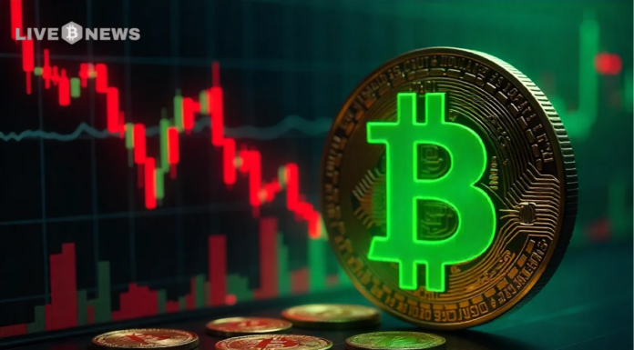 BTC Trader gira en largo en la zona inferior clave después de cerrar importantes apuestas de apalancamiento ahora