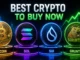 La criptomoneda más recomendable para invertir en este momento: $GRUNTLE llega a los $104,000 mientras SUI sube un 6,6%