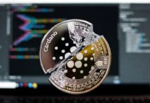 Cardano enfrenta una grave crisis tras la pausa de Hoskinson y una caída del 70%