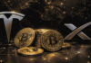 Dos de las diez compañías estatales más valiosas del mundo ya poseen bitcoin: Tesla y SpaceX.