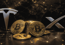 Dos de las diez compañías estatales más valiosas del mundo ya poseen bitcoin: Tesla y SpaceX.