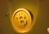 Dogecoin, XRP y Solana destacan en la semana más complicada de junio para las criptomonedas.