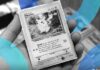 Las ventas de cartas de Pokémon están en auge en plataformas de criptomonedas—simplemente no lo llames juego.
