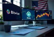 Bitwise informa que el mercado criptográfico cayó un 15,4% en el segundo trimestre a medida que se extiende la racha de retornos negativos