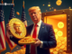 Casi 1 millón de inversores pierden 3.810 millones de dólares con TRUMP Memecoin: NYT