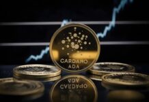 Las ballenas Cardano alcanzan su máximo en 3,5 años mientras el comercio minorista abandona la ADA