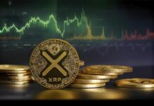 XRP alcanza el RSI con mayor sobreventa registrado a medida que emerge una configuración de reversión alcista