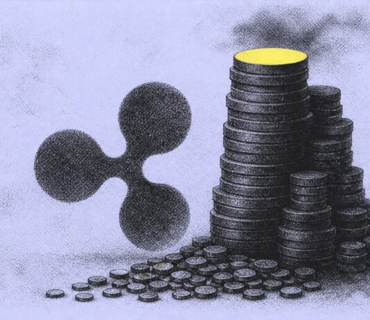 La lista de ricos de XRP revela una enorme brecha entre las ballenas y el comercio minorista