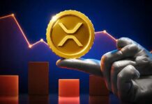 Noticias de Ripple: La razón por la que Rakuten Wallet confía en que XRP solucione la lentitud en las transacciones de criptomonedas.