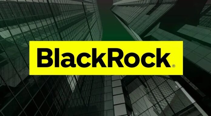 BUIDL encabeza la rentabilidad de los activos del mundo real en la deuda del Tesoro estadounidense con un 371,98 %