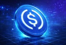MoonPay recibe la licencia EMI de los Países Bajos para lanzar monedas estables en euros en toda Europa.