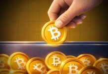 Razones por las que los estándares de pago inmediato se están alineando con los tiempos de liquidación de criptomonedas en Canadá.
