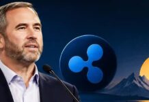 Actualidad sobre XRP: Brad Garlinghouse aclara los motivos detrás de la entrega de XRP por parte de Ripple a Evernorth.