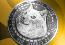 Dogecoin Cuenta con una Empresa Dedicada para Desarrollar Su Ecosistema
